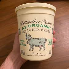 A2 probiotic yogurt