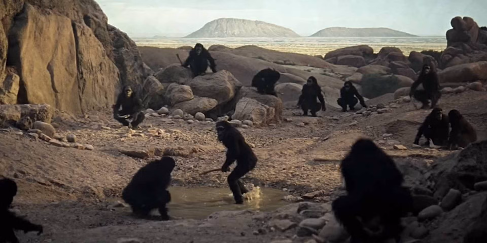 monke
